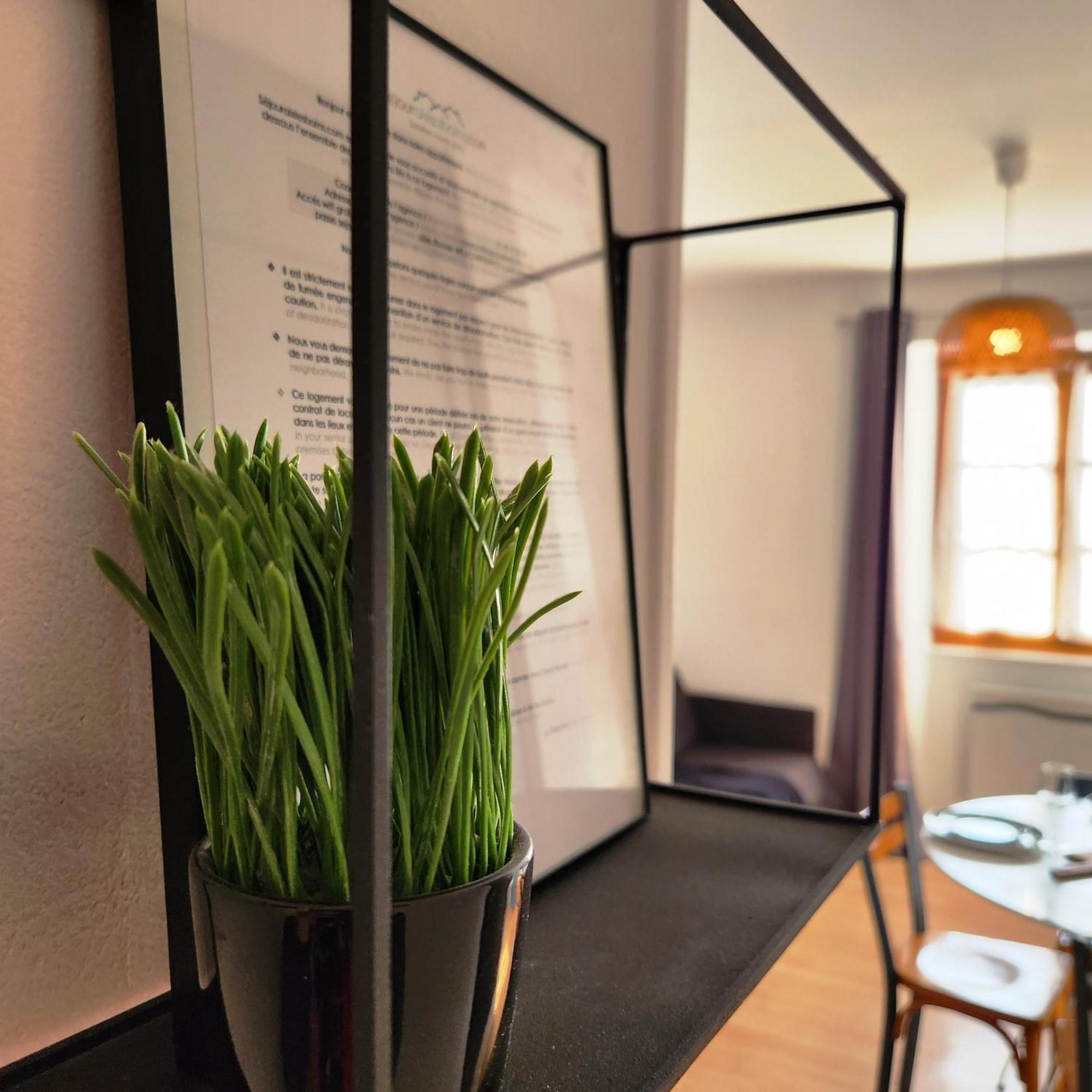 Confidence Hyper Centre Calme - Sejouraixlesbains Apartamento *